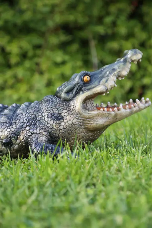 crocodile on the grass left view portrait