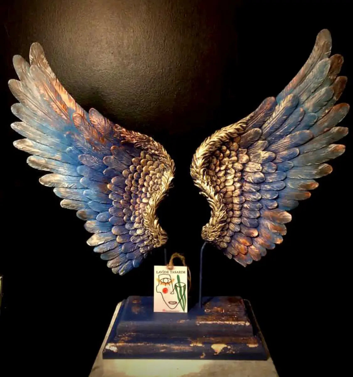 angle wings front view