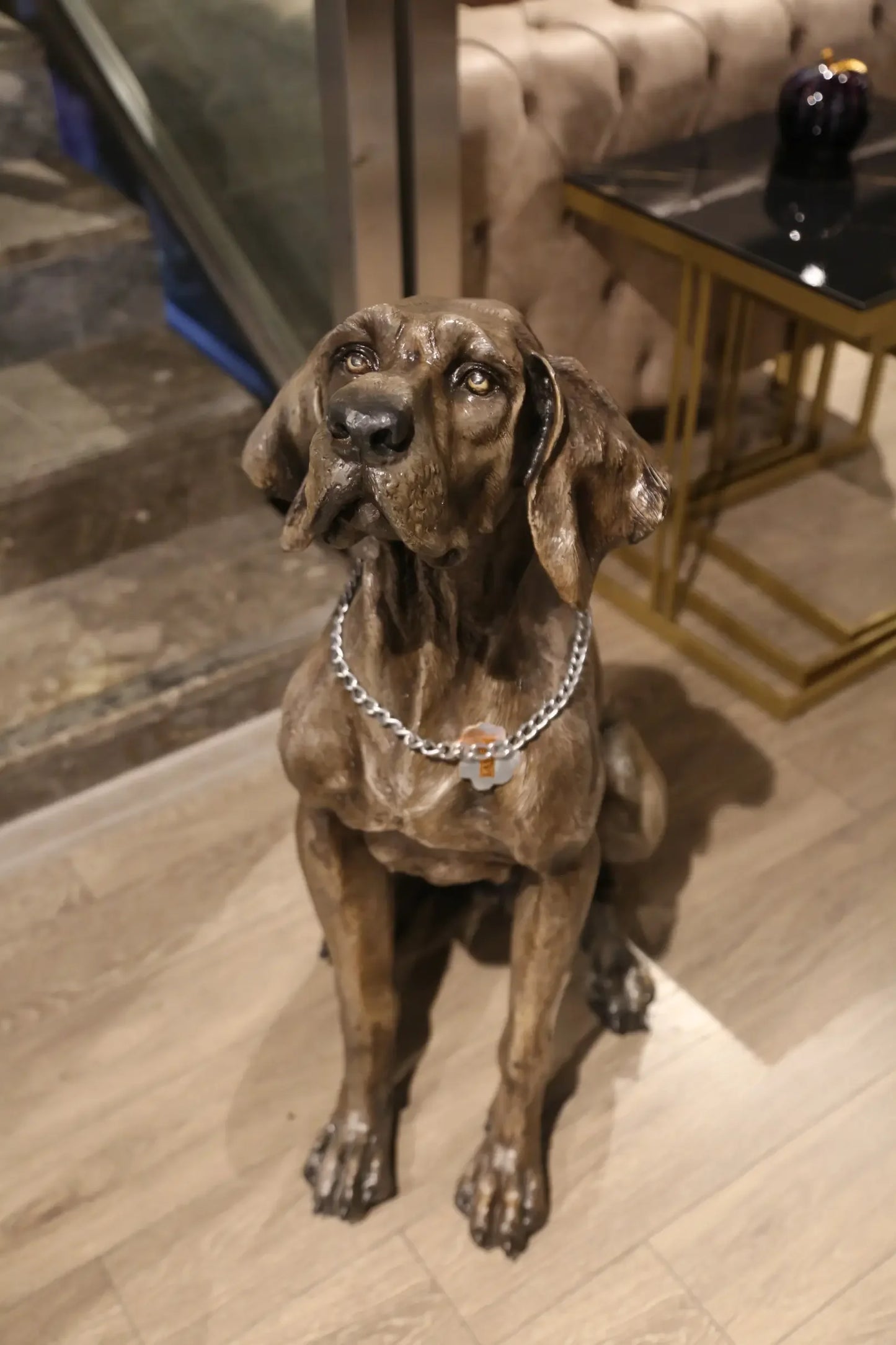 Gerçekçi detaylı, zincir tasmalı oturan Weimaraner köpek heykeli, iç mekan dekorasyonu