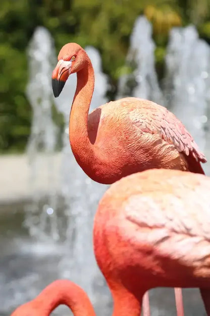 Fıskiye önünde pembe flamingo heykeli, detaylı 3D tasarım bahçe dekorasyonu