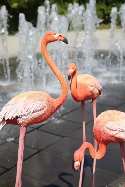 Fıskiye önünde duran üç pembe flamingo heykeli, açık alan, sanat dekorasyonu