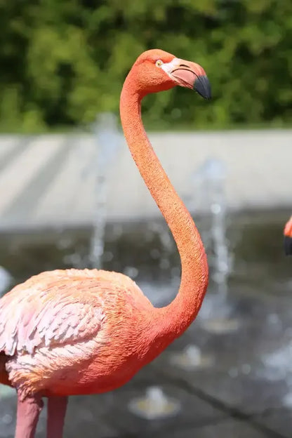 Açık havada, su fıskiyeleri önünde duran gerçekçi pembe flamingo heykeli
