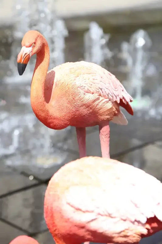 Flamingo statue (set of 3) - Lamithra Art & Ar-Ge