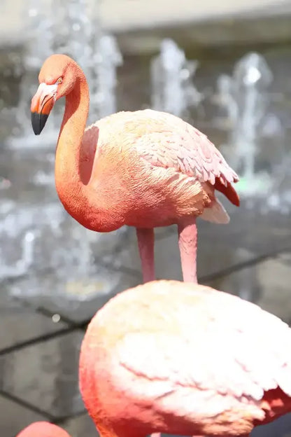 Fıskiyeli havuz kenarında pembe flamingo heykeli, el yapımı detaylı tasarım
