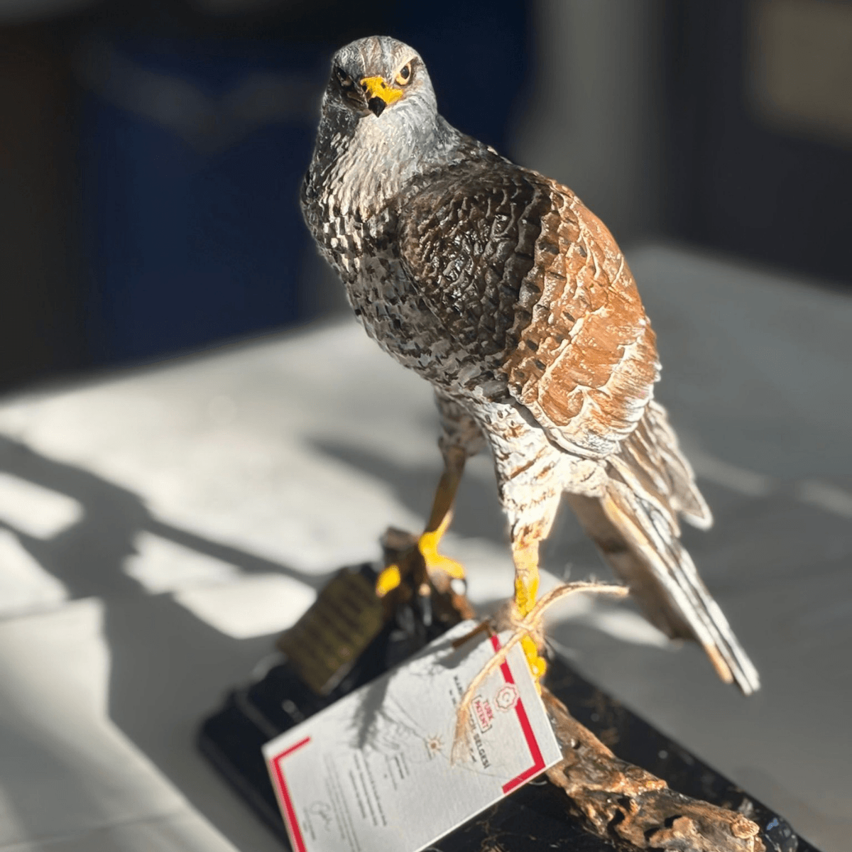 Personalized Realistic Hawk Statue - Fiberglass (27cm) - Lamithra Art & Ar-Ge