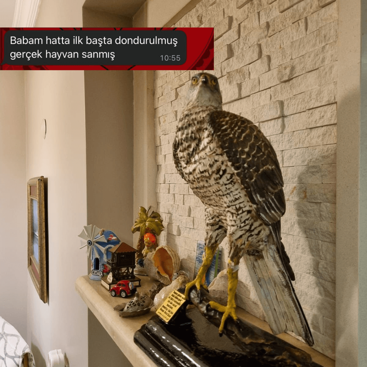 Personalized Realistic Hawk Statue - Fiberglass (27cm) - Lamithra Art & Ar-Ge