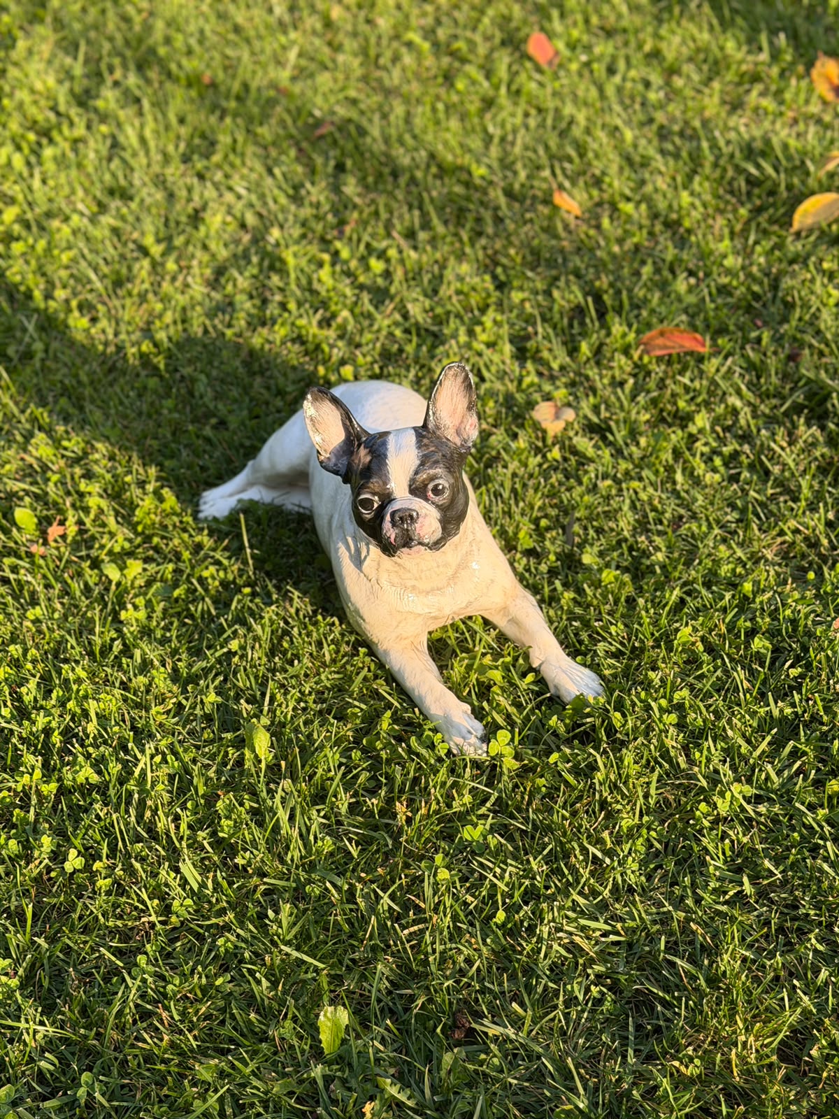 Can dostunuzun anısını yaşatan siparişe özel French Bulldog heykeli çalışması