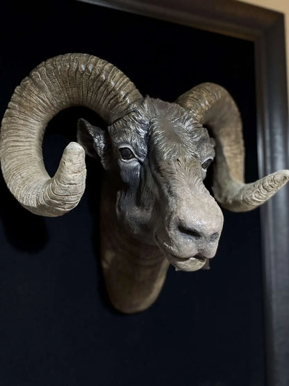 Ram Bust Statue ürün fotoğrafı — Lamithra Art