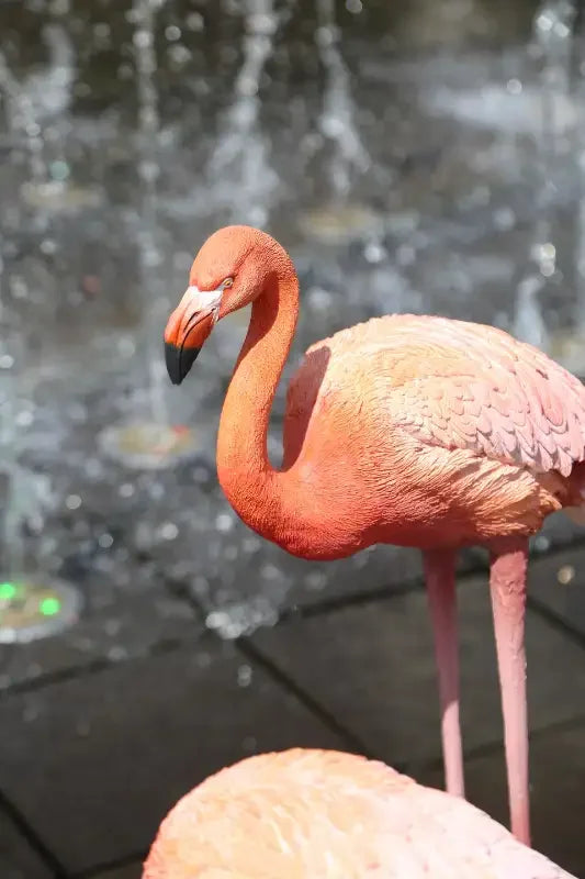 Dekoratif pembe flamingo heykeli, dış mekanda su fıskiyeleri önünde