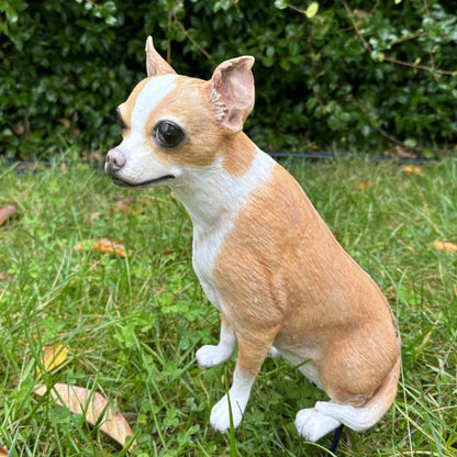 Kişiye Özel Şivava Köpek Heykeli - Evcil Dostunuzu Ölümsüzleştirin ürün fotoğrafı — Lamithra Art