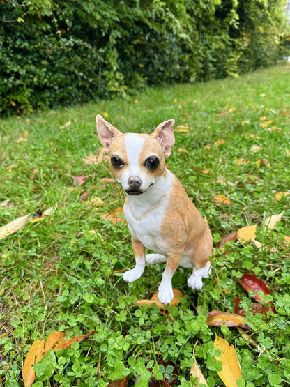 Kişiye Özel Şivava Köpek Heykeli - Evcil Dostunuzu Ölümsüzleştirin Görsel 5 ürün fotoğrafı — Lamithra Art