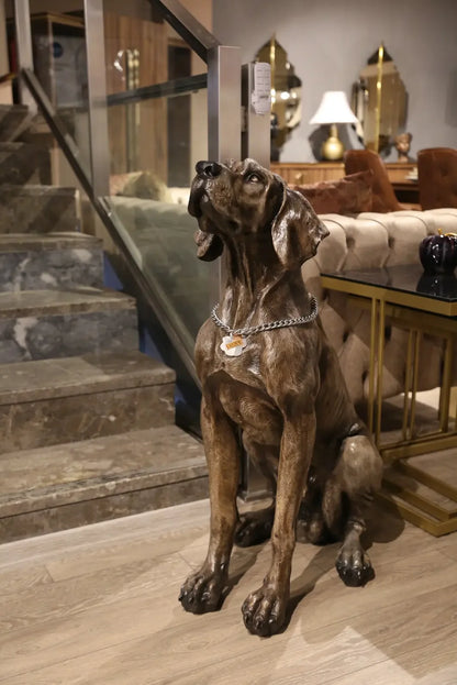 Oturmuş pozisyonda, zincir tasmalı, gerçekçi Weimaraner köpek heykeli, iç mekanda dekoratif olarak sergileniyor.