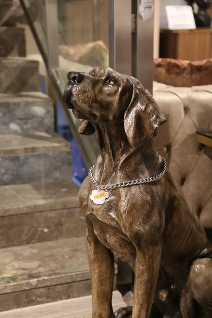 Merdiven önünde, tasmada isim etiketi olan gerçekçi bir Weimaraner köpek heykeli