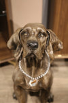 Weimaraner Heykeli