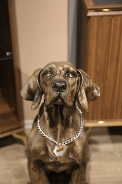 Gerçekçi weimaraner köpek heykeli, iç mekanda, metal tasmalı bronz görünümde