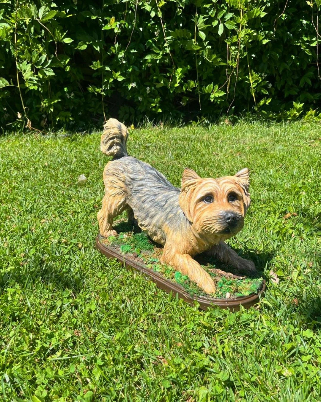 Çimenler üzerinde oynayan pozda gerçekçi el boyaması Yorkshire Terrier köpek heykeli, dekoratif ev ve bahçe süsü.